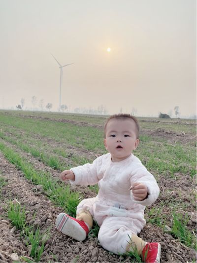 软件