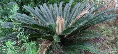 泛光照明施工亮化安装