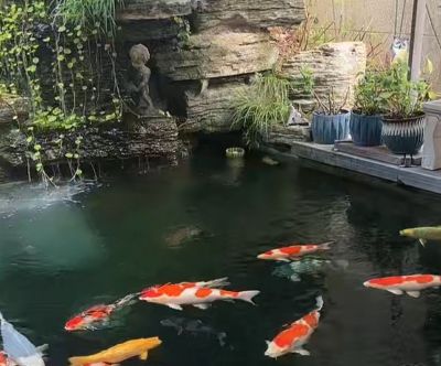 机电消防景观高端设计施工包验收13606018995