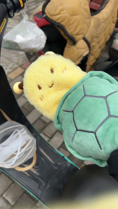 华为智能升降开合窗帘电机安装 现场有脚手架