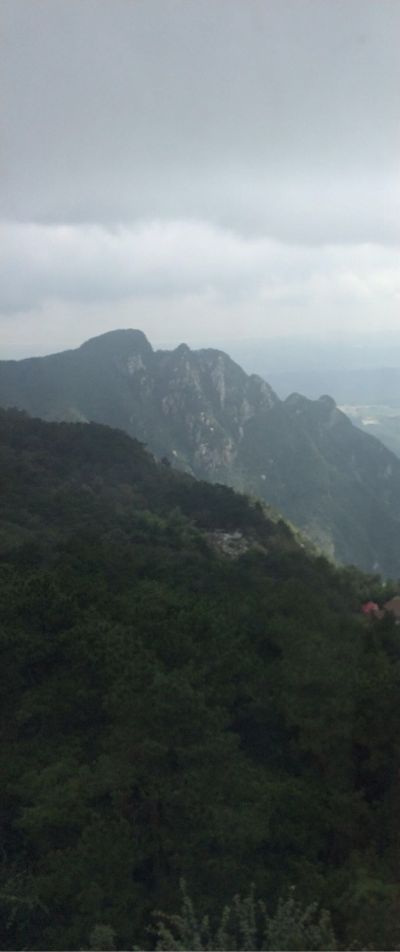安装维修无无