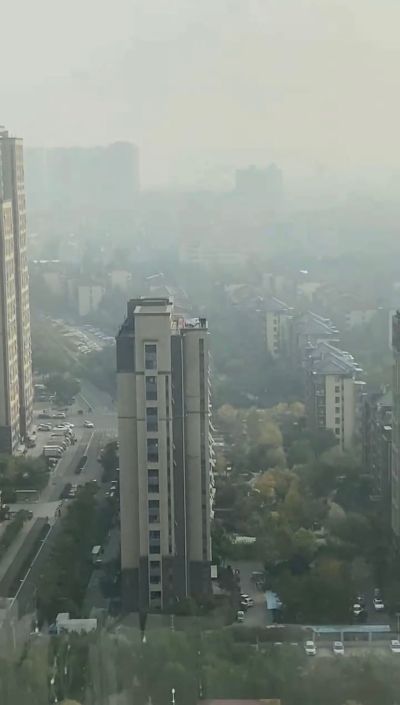 家具美容师哈