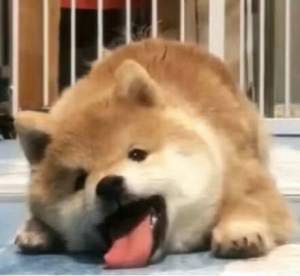 电脑专业维修电脑专业维修送货维护外卖