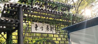 无铝板室内打胶