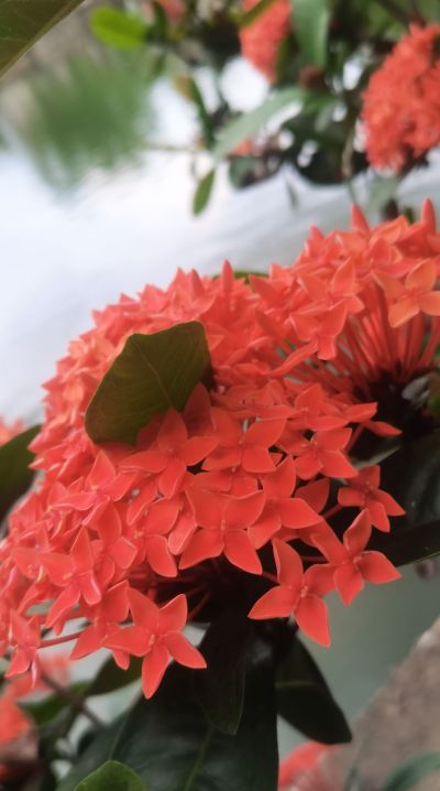 钢结构工程门窗房屋改建返修雨污水改造