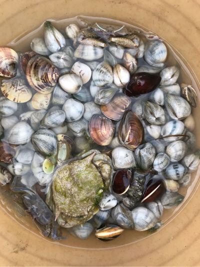 水电灯饰安装