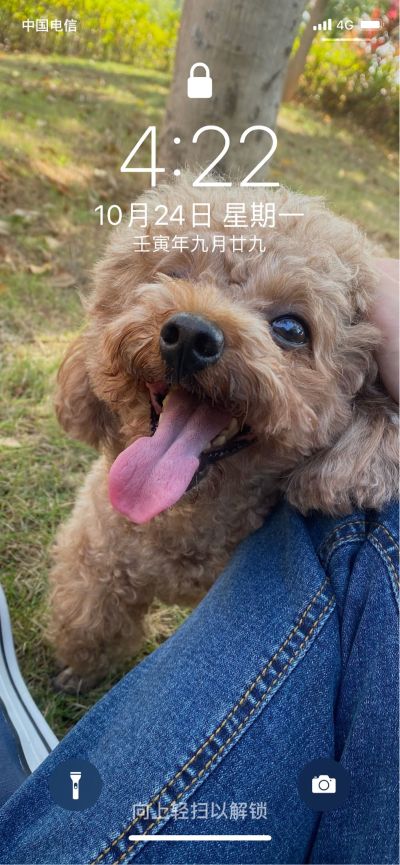 无