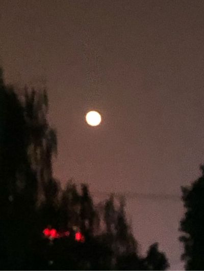 镜子后面两个孔，直接挂墙就行
另外两幅小
挂画，有无痕钉，直接挂墙就行。