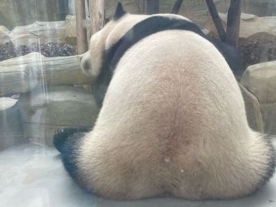 无