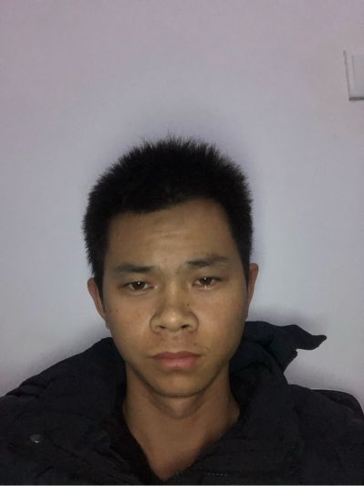 家具无