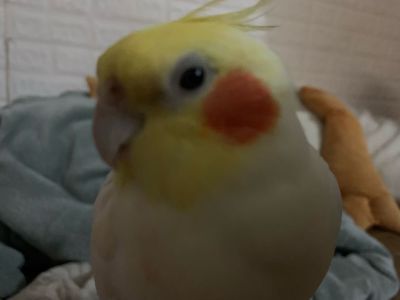 卫浴安装