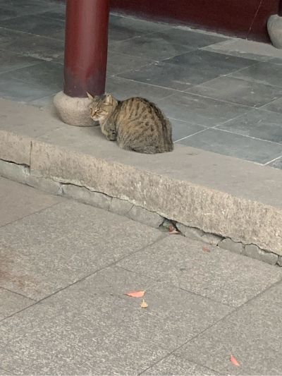 油漆涂料粉刷油漆工