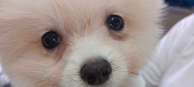 搬运，装卸工专业搬运装卸家具安装陶瓷修补