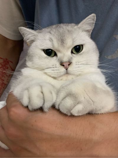 安装