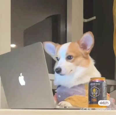 项目经理