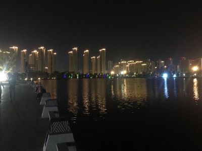金融