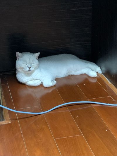使用专用模具，在箱子内部用榔头敲出一条钢印线，需要两个人搭配干活，共500元