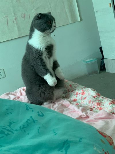 柏牧森
