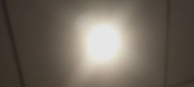 电工专业电工。