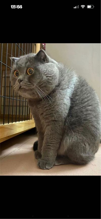 电工