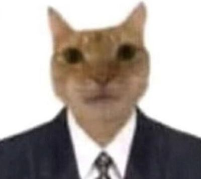 专业木工