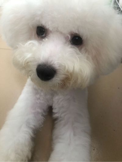 空调维修安装