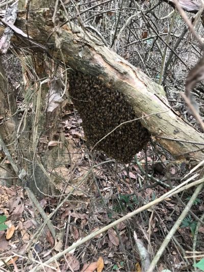 家用电器维修家用电器安装家用电器维修