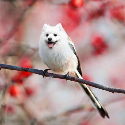 有意义