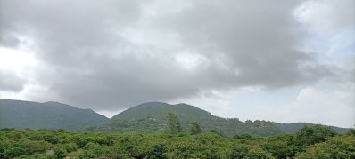 电工 木工246098电工 贴砖