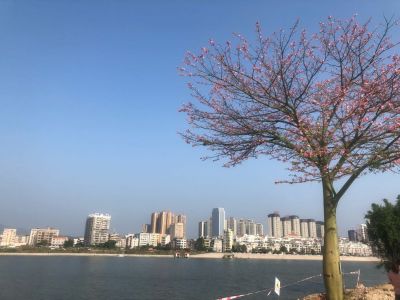 工程