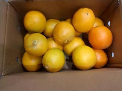 8mm钻头打孔，5个墙上置物架安装；10mm钻头，简易衣架打孔。安装效果如图