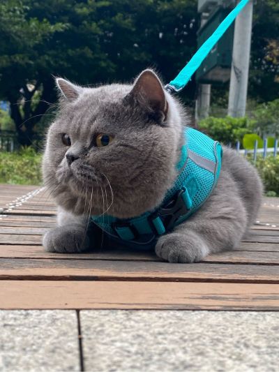 水钻打孔