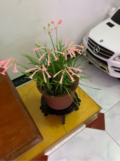 窗帘美缝空调