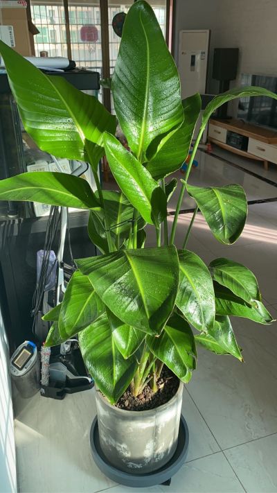 需要找木工师傅制作柜子