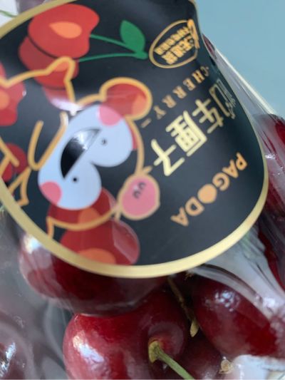 现在需要师傅上门安装，很快就可以安装好