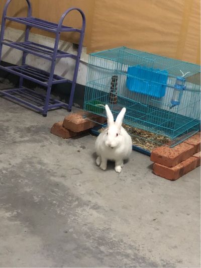 木工