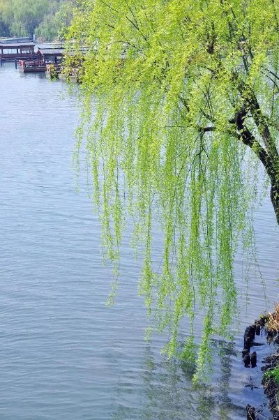 钢管租赁站