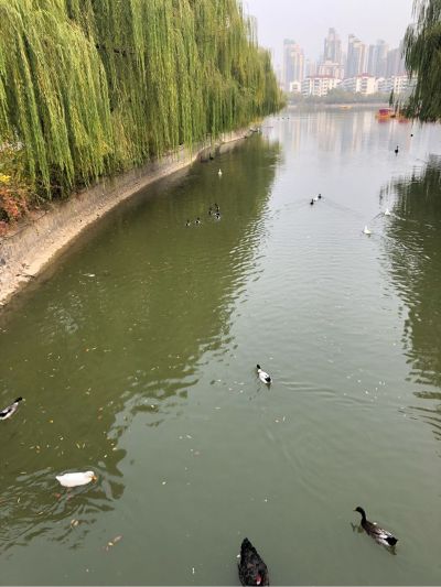 计算机软硬件