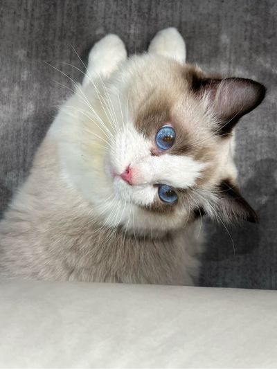 需要改装形象墙与隔板