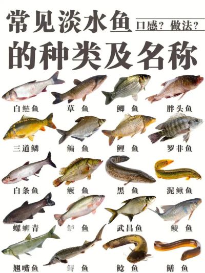 家具卫浴家电家具卫浴
