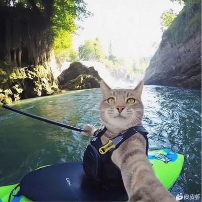 家电维修安装