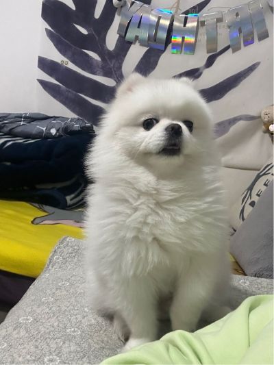 无