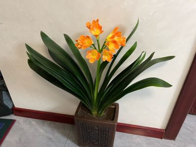 木质桌面需要打一个电脑走线的孔