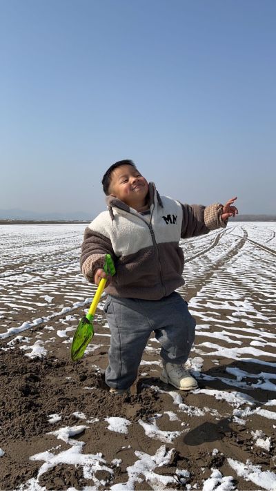 平面设计师