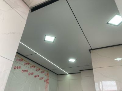 专业集成吊顶