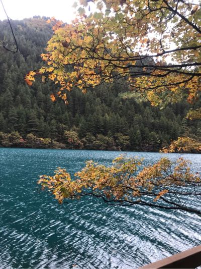 水电安装维修