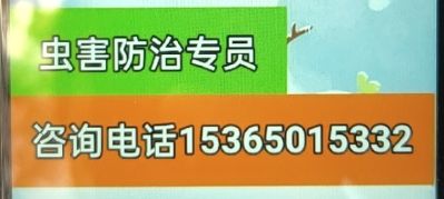 四害防治有害生物防治