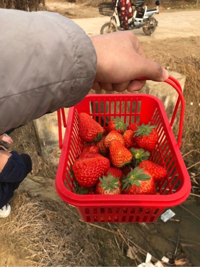 自控项目