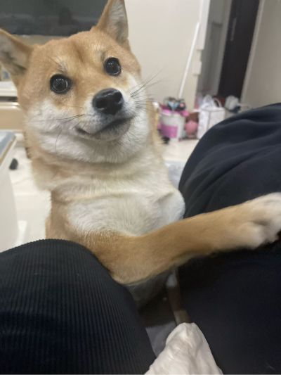 无