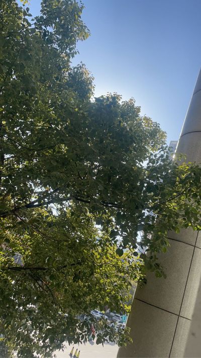 弱电安防监控弱电安防监控